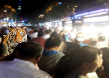Chine : Du tourisme en pays ouïghour ou « Y a-t-il un tigre dans le marché ? »
