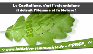 Pesticides, profit et poison : la terre, les corps et l’avenir sacrifiés par le capital