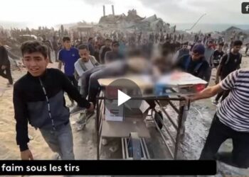 L&rsquo;horreur génocidaire : les soldats israéliens avouent tirer sur les civils palestiniens affamés lors de distributions alimentaires