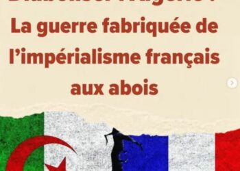 Les raisons de la diabolisation de l&rsquo;Algérie : les explications du Comité Henri Alleg