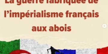 Les raisons de la diabolisation de l&rsquo;Algérie : les explications du Comité Henri Alleg