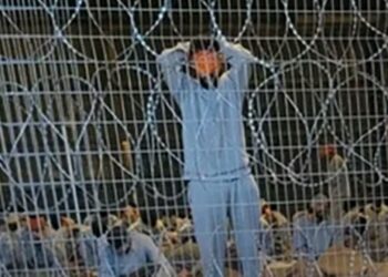 Les bases de données israéliennes confirment que les trois quarts des palestiniens arrêtés à Gaza par l&rsquo;armée israélienne ne sont pas des combattants, mais des milliers civils détenus comme monnaie d&rsquo;échange