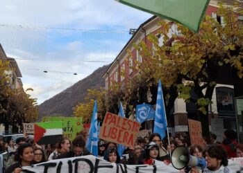 Tessin : les lycéens suisses font grève pour la Palestine à l&rsquo;initiative des jeunes communistes