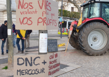 DNC : Stopper le régime Macron UE qui abat les troupeaux et agresse les paysans