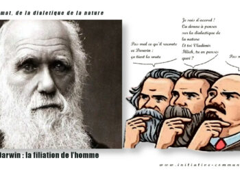12 février, l&rsquo;anniversaire de Darwin : l&rsquo;Humanité c&rsquo;est l&rsquo;inverse de la loi du plus fort