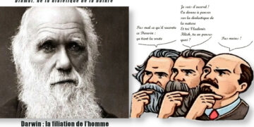 12 février, l&rsquo;anniversaire de Darwin : l&rsquo;Humanité c&rsquo;est l&rsquo;inverse de la loi du plus fort