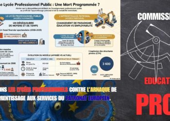 Résister pour défendre l&rsquo;enseignement professionnel sous statut scolaire
