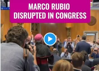 Aux États-Unis, le groupe « Code rose : les femmes pour la paix » persécuté pour son soutien à Cuba, Marco Rubio interpellé !