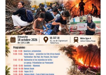 Indonésie : écologie populaire, la lutte du peuple à Bornéo contre les incendies de forêts [Solidarité indonésie]